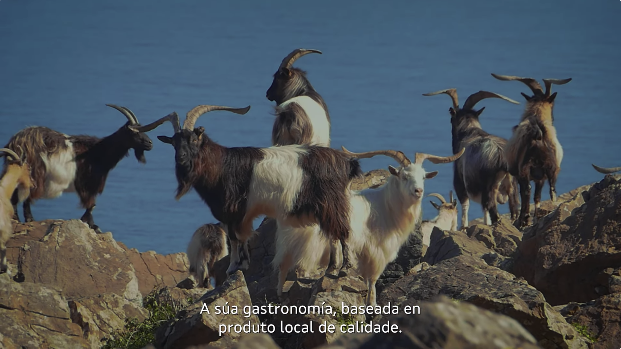 Galicia Destino Sostible