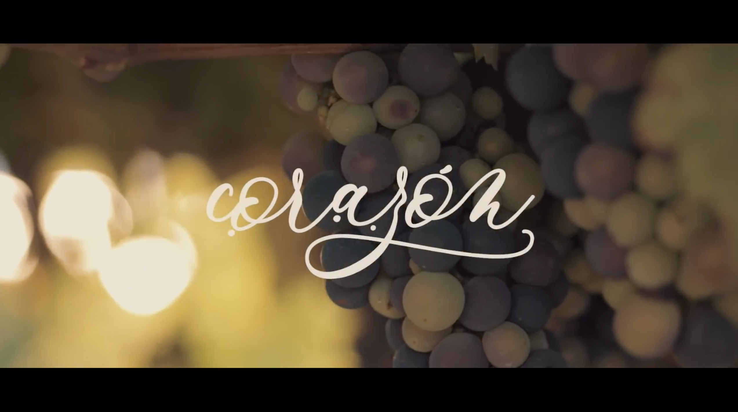 Campaña Enoturismo Galicia "Alma, Corazón y Vino" 30"